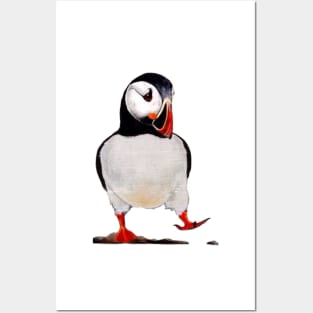 Puffin Posters and Art